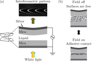Controlling adhesion using AC electric fields across fluid films