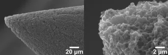 Ion field-evaporation from ionic liquids infusing carbon xerogel microtips