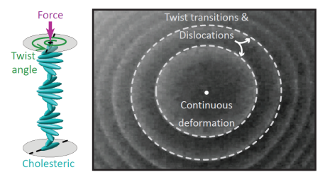 Direct measurements of structural forces and twist transitions in cholesteric liquid crystal films with a surface force apparatus