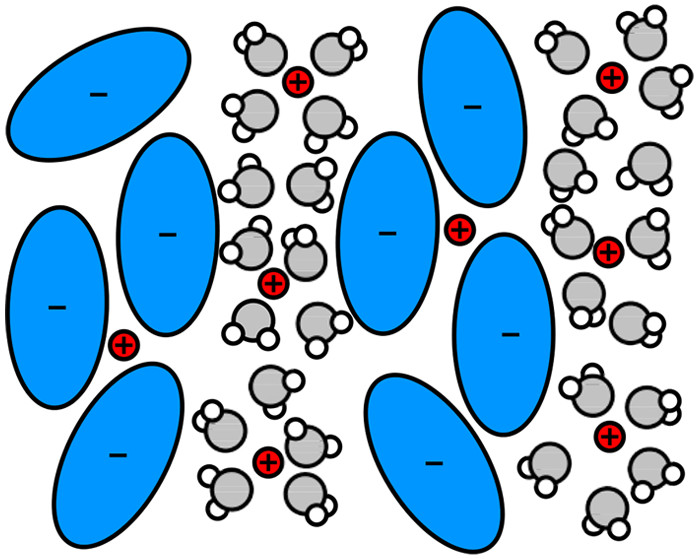 Surface Forces and Structure in a Water-in-Salt Electrolyte